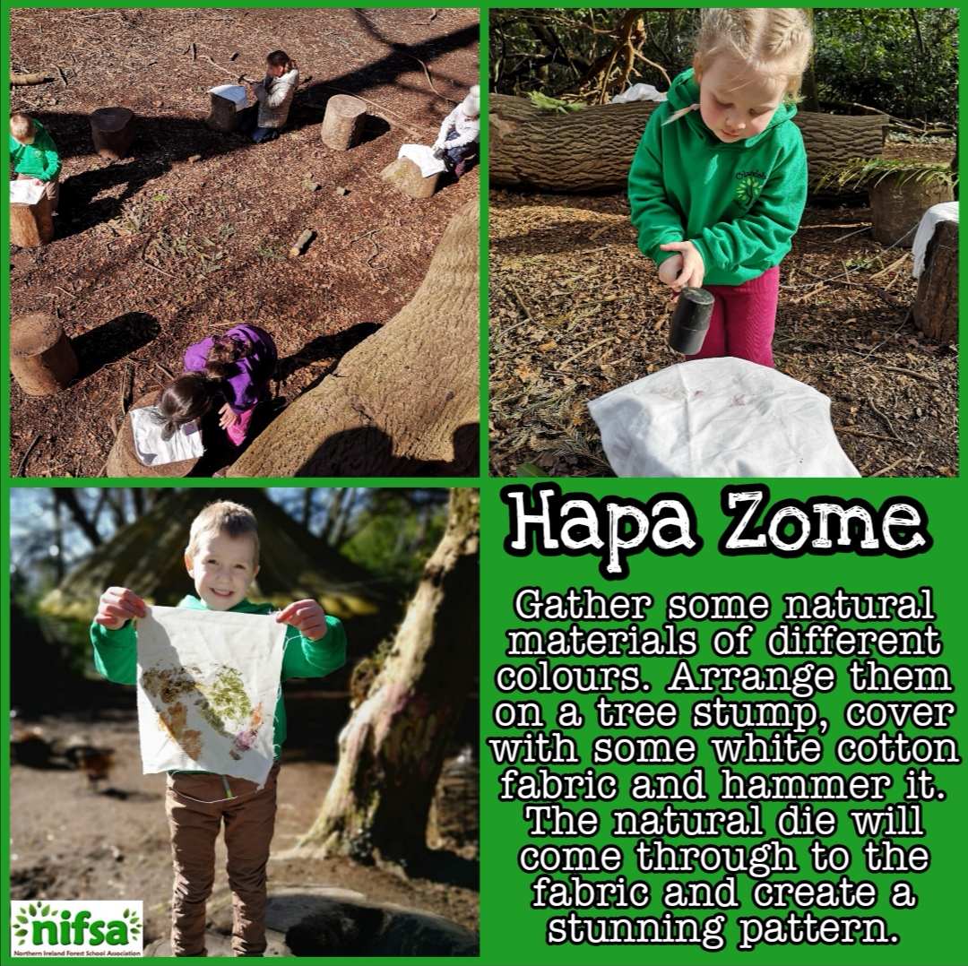 Hapa Zome • Forest Schools in Northern Ireland