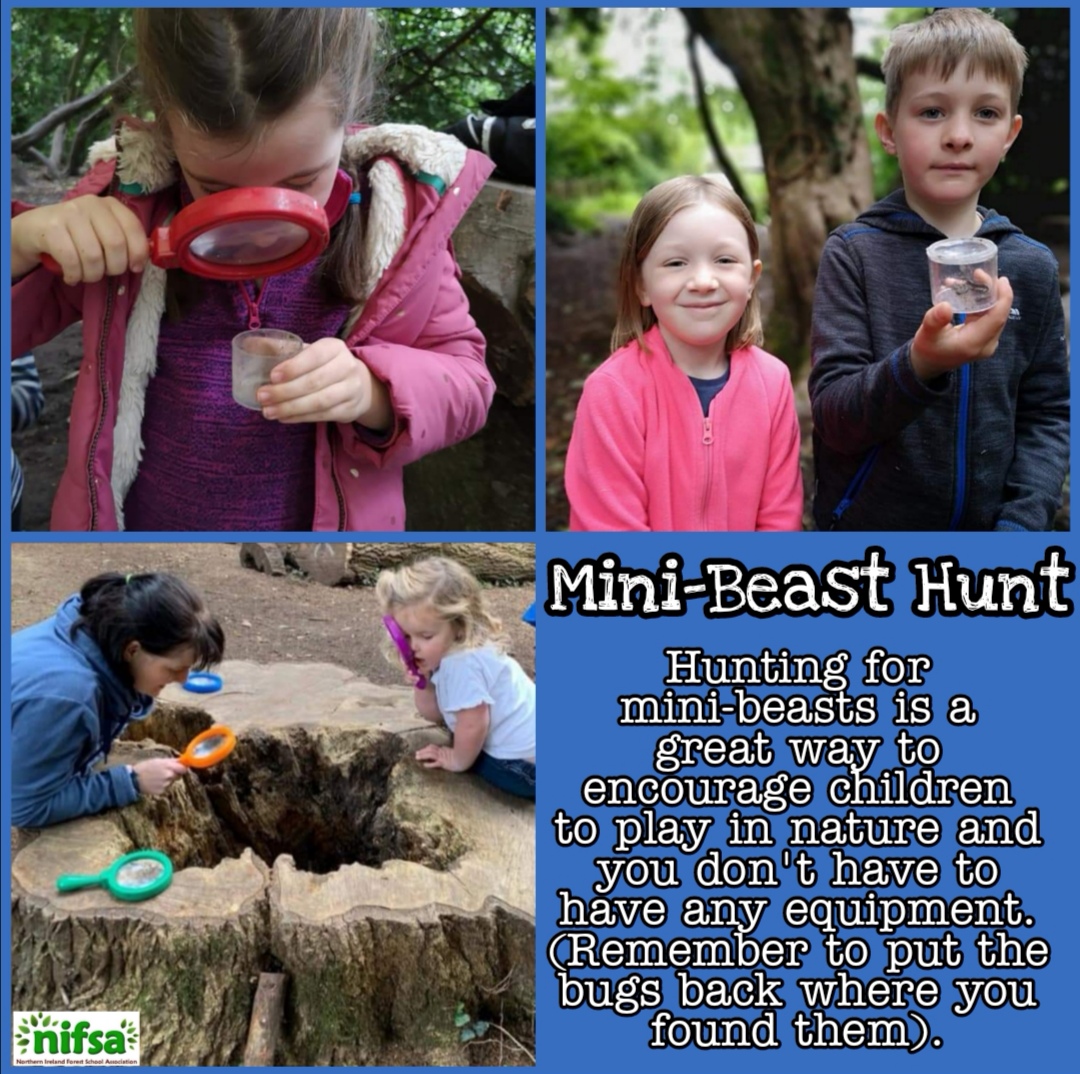 Minibeast Hunt • Forest Schools in Northern Ireland