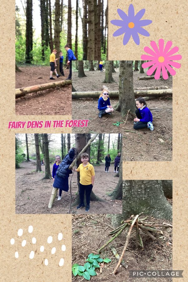 fairy-dens